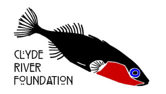 Clyde river foundation